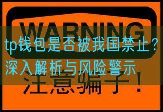 tp钱包是否被我国禁止？深入解析与风险警示