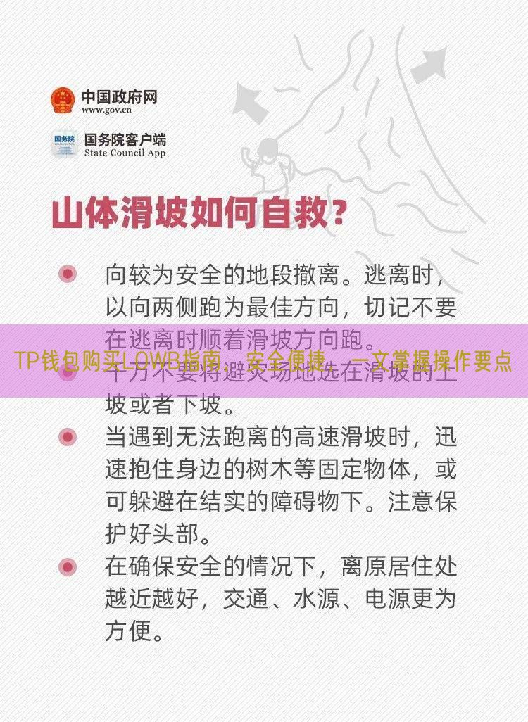 TP钱包购买LOWB指南，安全便捷，一文掌握操作要点