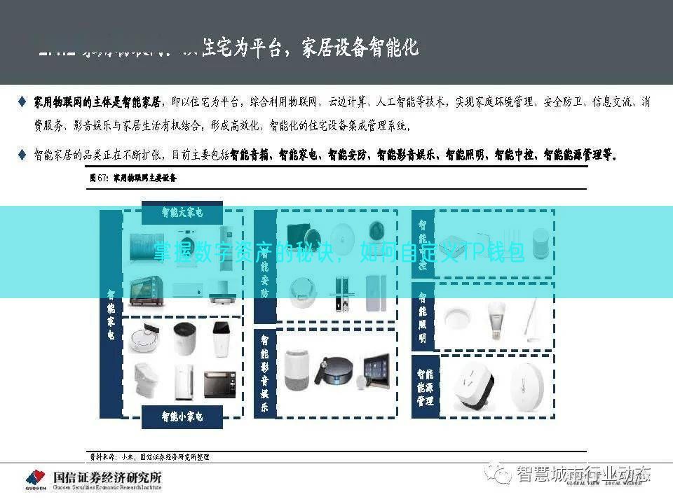 掌握数字资产的秘诀，如何自定义TP钱包