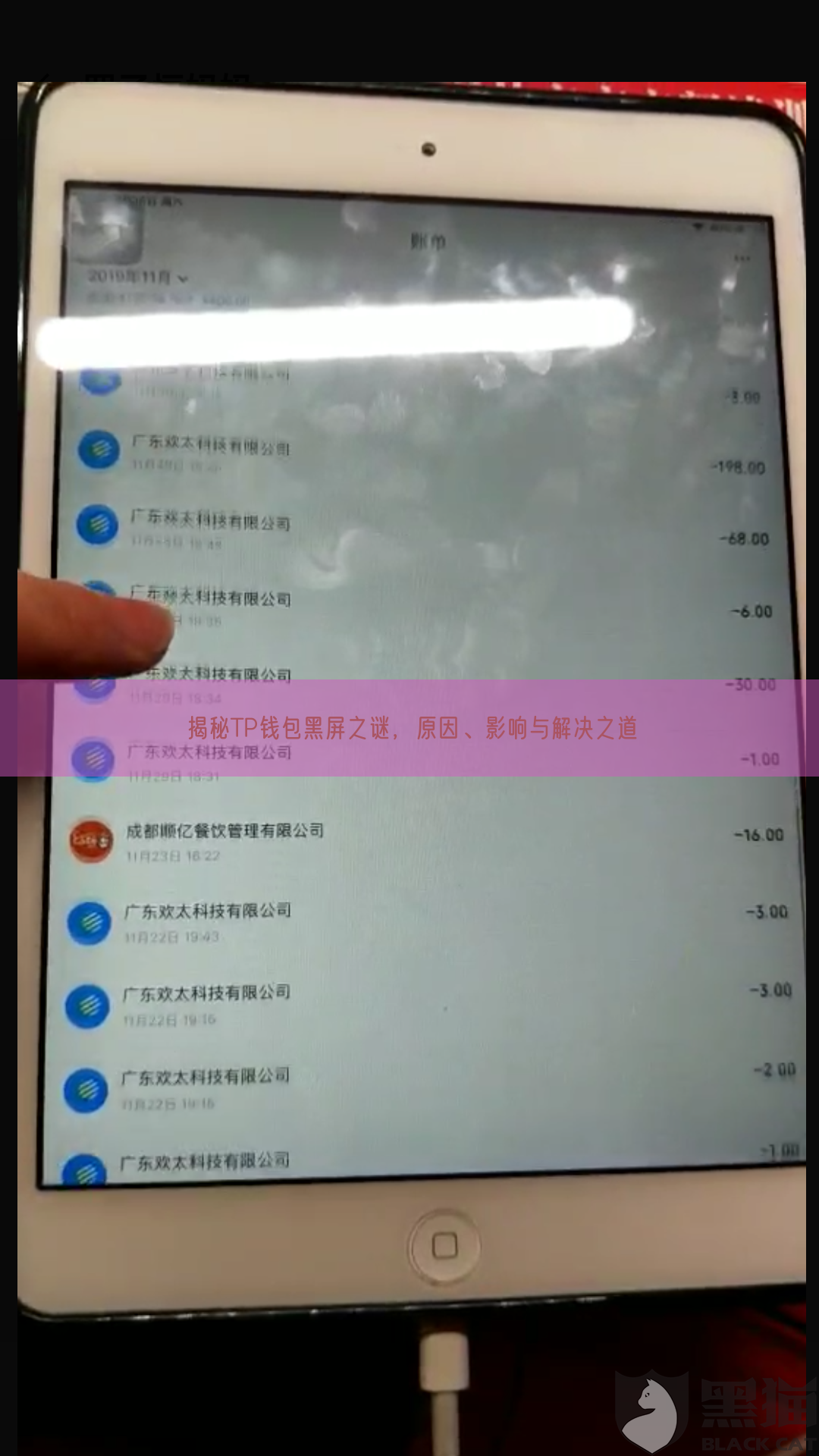 揭秘TP钱包黑屏之谜，原因、影响与解决之道