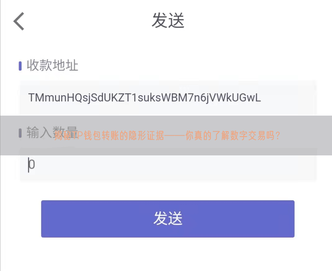 揭秘TP钱包转账的隐形证据——你真的了解数字交易吗？