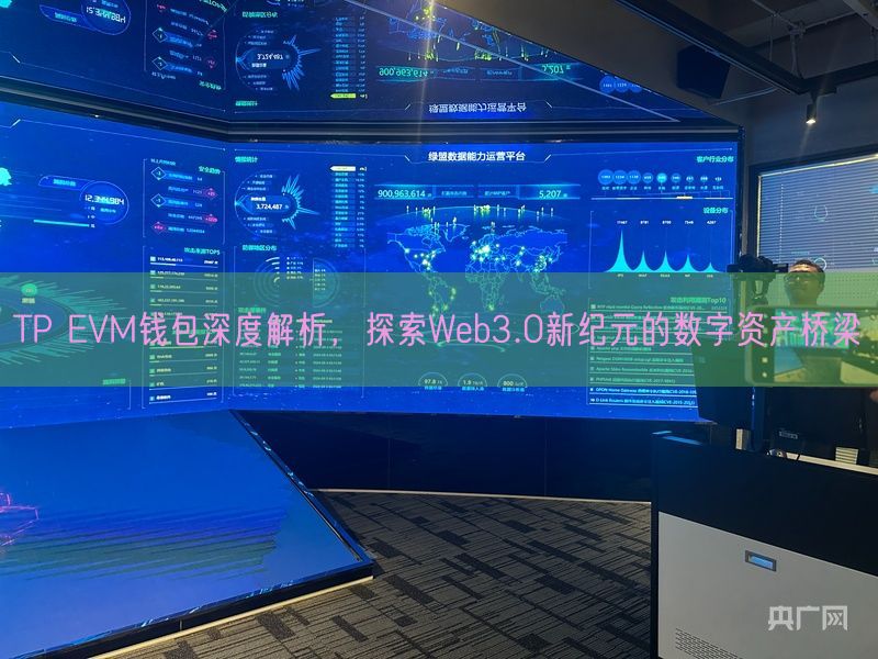 TP EVM钱包深度解析，探索Web3.0新纪元的数字资产桥梁