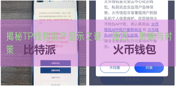 揭秘TP钱包资产显示之谜，原因、影响与对策