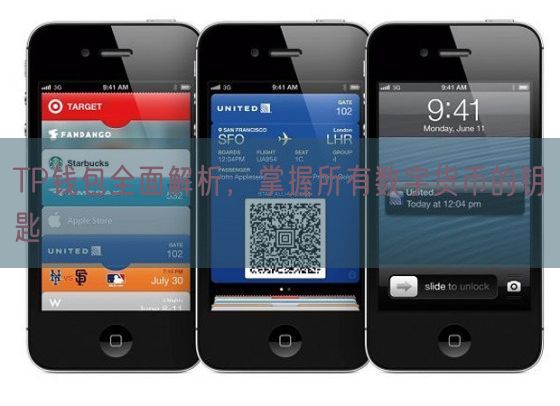 TP钱包全面解析，掌握所有数字货币的钥匙