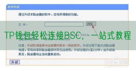 TP钱包轻松连接BSC，一站式教程