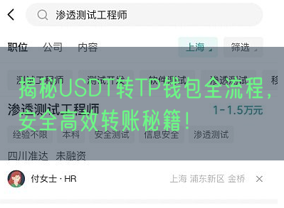 揭秘USDT转TP钱包全流程，安全高效转账秘籍！