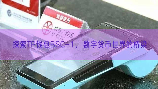 探索TP钱包BSC-1，数字货币世界的桥梁