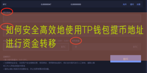 如何安全高效地使用TP钱包提币地址进行资金转移