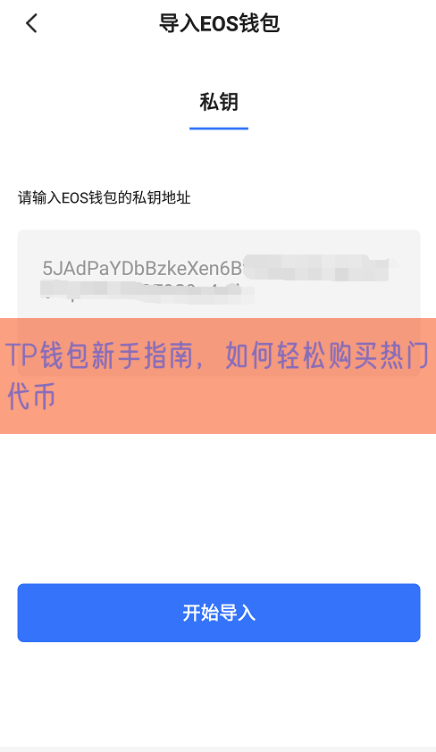 TP钱包新手指南，如何轻松购买热门代币