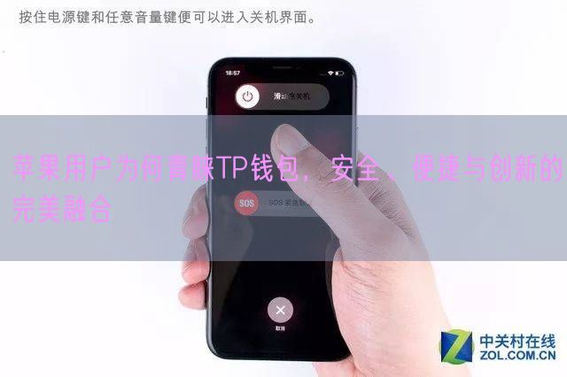 苹果用户为何青睐TP钱包，安全、便捷与创新的完美融合