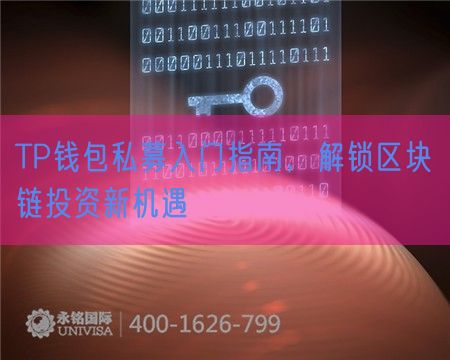 TP钱包私募入门指南，解锁区块链投资新机遇