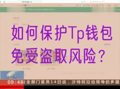 如何保护Tp钱包免受盗取风险？