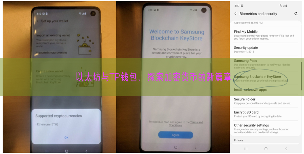 以太坊与TP钱包，探索加密货币的新篇章