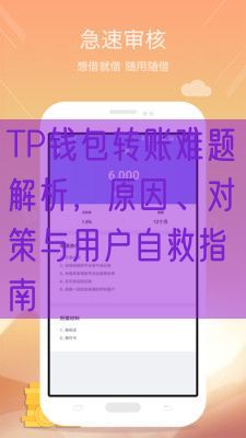 TP钱包转账难题解析，原因、对策与用户自救指南