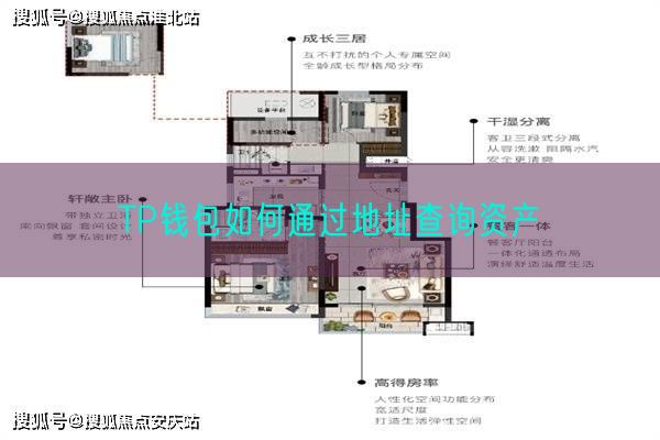 TP钱包如何通过地址查询资产