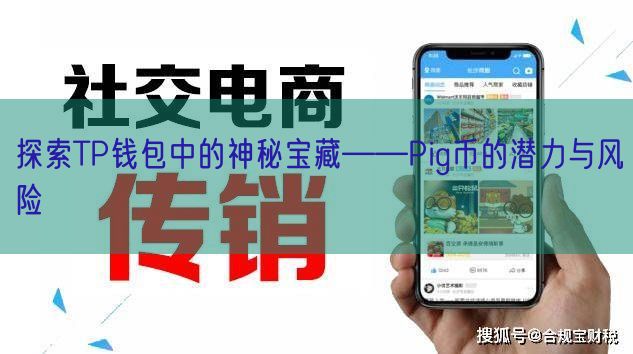 探索TP钱包中的神秘宝藏——Pig币的潜力与风险