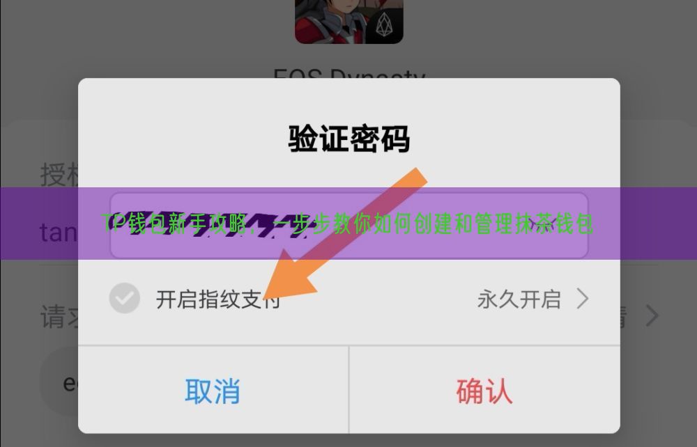TP钱包新手攻略，一步步教你如何创建和管理抹茶钱包