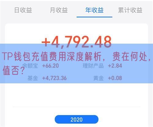 TP钱包充值费用深度解析，贵在何处，值否？