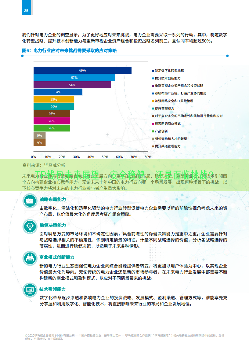 TP钱包未来展望，安全稳健，还是面临挑战？