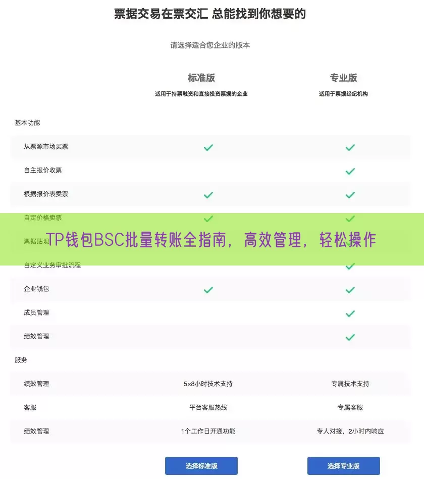 TP钱包BSC批量转账全指南，高效管理，轻松操作