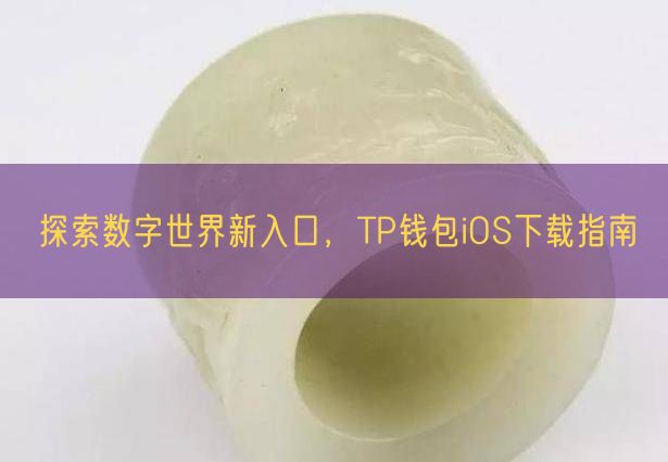 探索数字世界新入口，TP钱包iOS下载指南