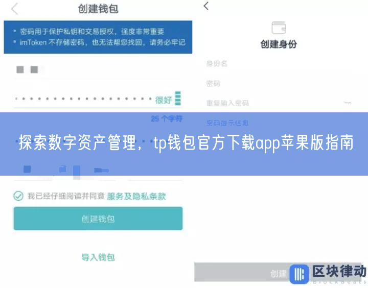 探索数字资产管理，tp钱包官方下载app苹果版指南