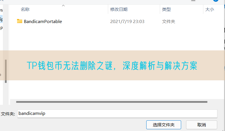 TP钱包币无法删除之谜，深度解析与解决方案