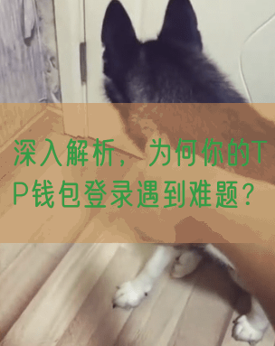 深入解析，为何你的TP钱包登录遇到难题？