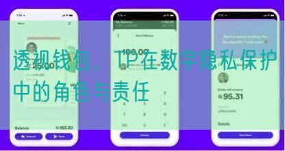 透视钱包，TP在数字隐私保护中的角色与责任