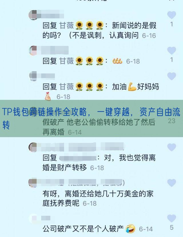 TP钱包跨链操作全攻略，一键穿越，资产自由流转