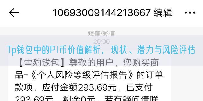 Tp钱包中的PI币价值解析，现状、潜力与风险评估