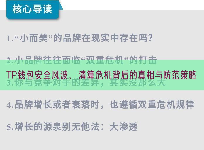 TP钱包安全风波，清算危机背后的真相与防范策略