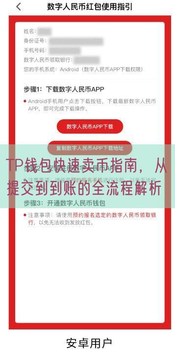 TP钱包快速卖币指南，从提交到到账的全流程解析