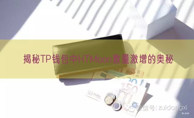 揭秘TP钱包中HTMoon数量激增的奥秘