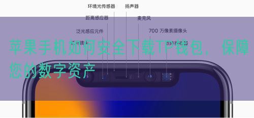 苹果手机如何安全下载TP钱包，保障您的数字资产