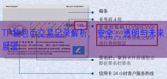 TP钱包币交易记录解析，安全、透明与未来展望