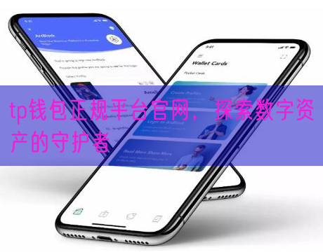 tp钱包正规平台官网，探索数字资产的守护者