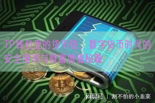 TP钱包里的货币链，数字货币时代的安全港湾与财富增值秘籍