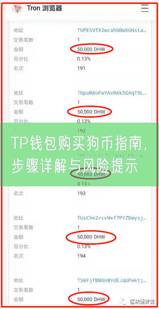 TP钱包购买狗币指南，步骤详解与风险提示