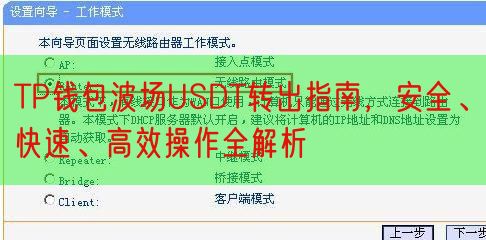 TP钱包波场USDT转出指南，安全、快速、高效操作全解析